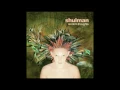 Shulman - OMG