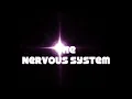 The Nervous System VETERINARY TECHNICIAN EDUCATION