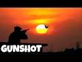 Download Lagu Suara Tembakan Untuk Menakuti Burung