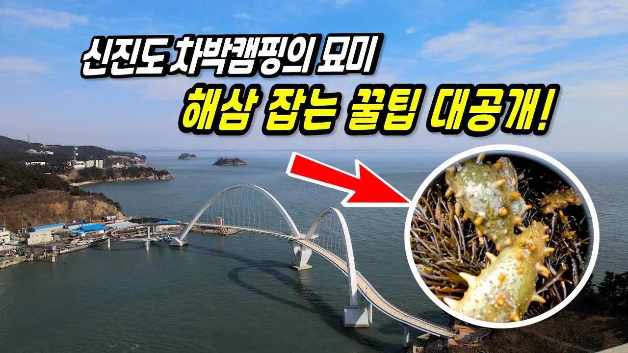 신진도에서 차박 캠핑하며 해루질! 해삼 잡는 꿀팁🌊 サムネイル