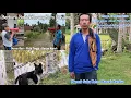 Download Lagu Baburu Babi di Korong Koto Panjang, Nagari III Koto Aur Malintang Selatan