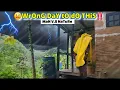 Download Lagu aLoNe iN RaiNFoReST! oFF-gRiD LiViNg iN JaMaiCa (PiNEAPPLE)