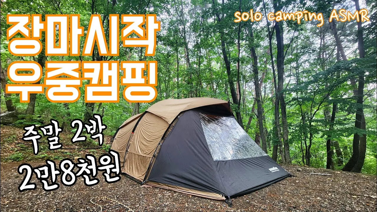 최애 캠핑장 여기예요/새턴쉘터라이트 전용 투명창 장착/여름장마 숲속캠핑장 우중캠핑/솔로캠핑 solo camping ASMR サムネイル