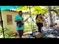 Napua - Imi au ia'oe