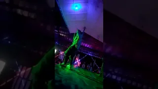 flexy p full perfomance back to back 
