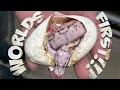 8 GENE WORLDS FIRST BALL PYTHONS BRIAN BARCZYK