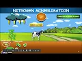 The Nitrogen Cycle Interactive Google Slides Powerpoint Version Printable Worksheet