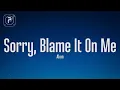 Download Lagu Akon - Sorry, Blame It On Me (Lyrics)