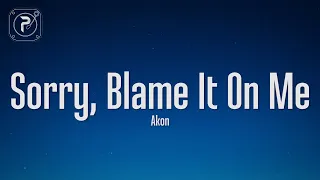 akon sorry blame it on me lyrics