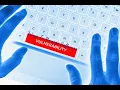 Secure Coding Episode 6 - Understanding Software Risks