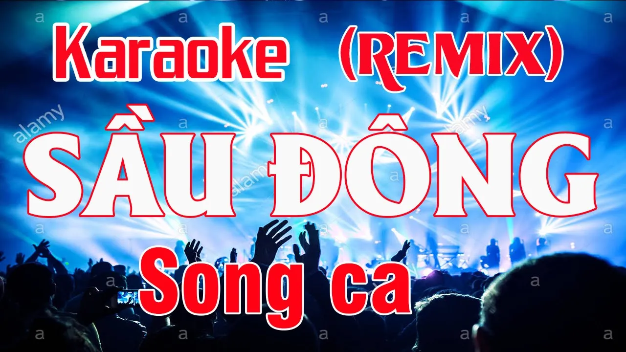 Sầu Đông Karaoke Remix Song ca