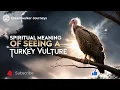 Spiritual Meaning of Seeing a Turkey Vulture Transformation Renewal Divine Guidance