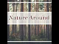 Calm Music