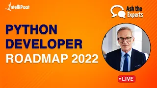 Python Developer Roadmap Python Developer Roles and Responsibilities Intellipaat
