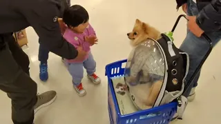 AZRA İle Eğlenceli Alışveriş! Kmart'ta Yeni Ürünler Keşfettim! Dilan Günlük Vlog