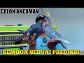 Download Lagu REVIEW MERPATI YANG BELI DARI PASAR SUMPIUH DAN SEMUA MERPATIKU