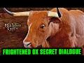 Frightened OX Secret Dialogue Scene in Baldur s Gate 3