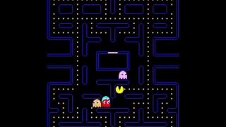 Pac-Man - Perfect Game 3 333 360