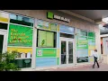 Emerald Advance Loan
