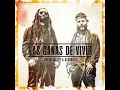 "Las Ganas De Vivir" Reworked ::: Green Valley https://greenvalley-band.com/
