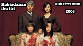 alur cerita film a tale of two sisters 2003 sampul film serius 