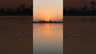 برتاح وياك وانا ماسك ايديكي توليت حسيني  برتاح وياك وانا ماسك ايديكي توليت حسيني