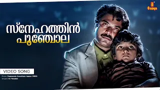 snehathin poonchola video song mammootty master badusha pappayude swantham appoos