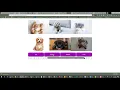 Select and Zoom Images in Captivate with JavaScript