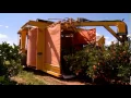 Citrus harvesting in Australia with a Nelson Harvester