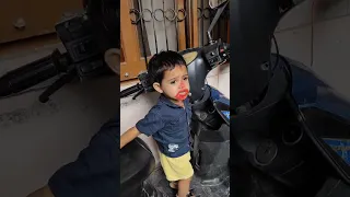                     دندنها