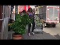 Download Lagu Bushman Prank Funny reactions and crazy girl screams
