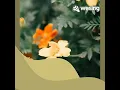 Download Lagu Bohong Dosa Jujur Nyakiti(Rabi Loro)