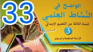 هل الماء يذيب جميع المواد الواضح في النشاط العلمي الثالث ابتدائي صفحة 33 
