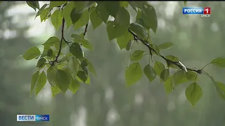 В МЧС предупреждают о сильном ветре