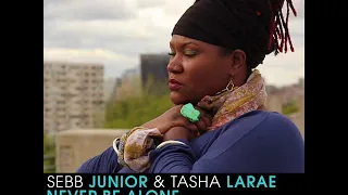 sebb junior u0026 tasha larae never be alone soullab vocal remix quantize recordings 