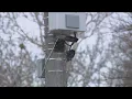 House bill would require search warrants limit data retention for plate readers