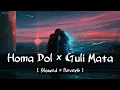Download Lagu Homa Dol x Guli Mata ( Slowed + Reverb ) | Shreya Ghoshal | Neeti Mohan | saad Lamjarred
