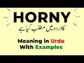 Horny Word Meaning in Urdu and English with Examples