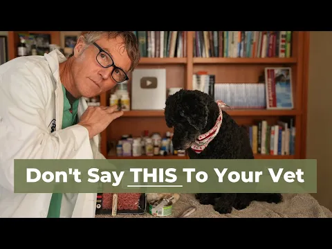 Download MP3 7 Things to Never Say to Your Vet
