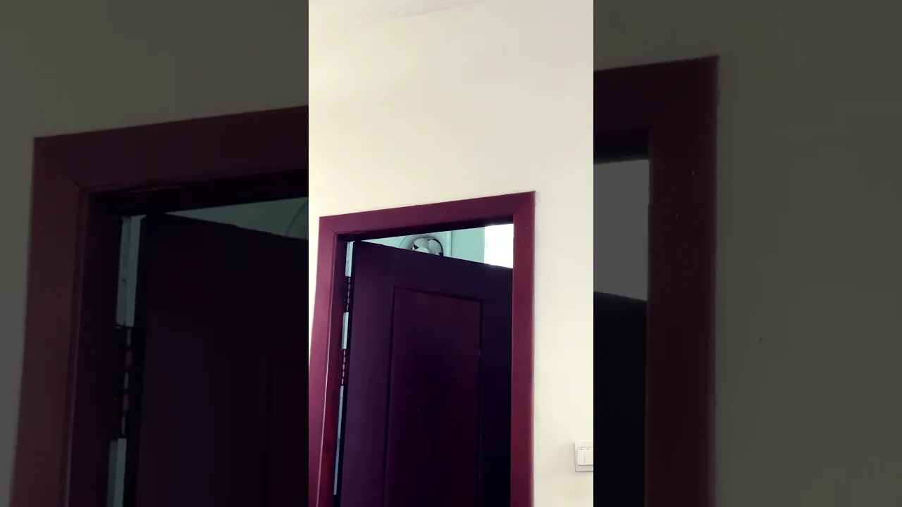 Wow