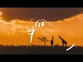 DJ Maphorisa & Kabza De Small - Koko feat. Mhaw Keys (Lyrics)