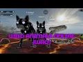 Leveling Robo-Kitty to level 20 With YasKnow Python