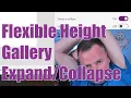 Power Apps Flexible Height - Expand and Collapse Nested Gallery