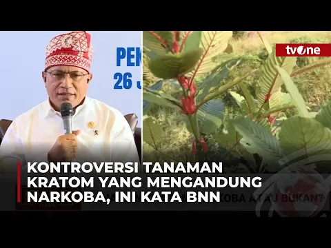 Legalisasi Tanaman Kratom Jadi Polemik, Narkoba atau Bukan?