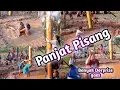 Download Lagu Panjat pisang wanita super heboh banyak dorprise nya|| full 1 jam