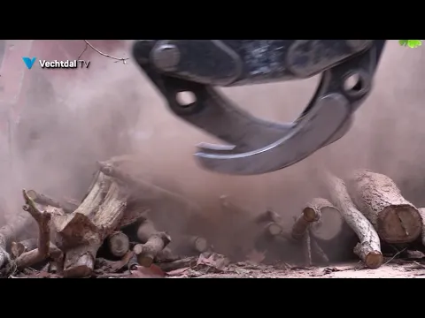 Houtsnippers voor Biobrandstof