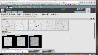 Backyard World Planet 9 Tutorial Basics SIMBAD IRSA