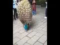 Download Lagu Teri meri prem kahani  tiktok