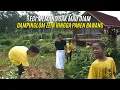 Download Lagu EGI MEMANG GAK MAU DIAM | DAMPINGI OM ZEIN KE KEBUN HINGGA PANEN BAWANG