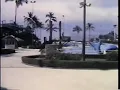 Todo el amor del mundo